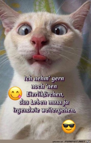 Ein-Eierlik�rchen.jpg auf www.funpot.net