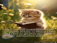 Lesen und sich weiterbilden