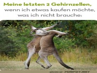 Meine letzten beiden Gehirnzellen