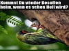 weiter