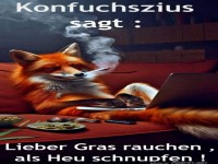 Ein weiser Fuchs gibt humorvollen Rat