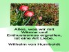 weiter