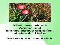 alles was wir mit wrme