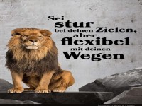 Motivierendes Zitat mit Lwe