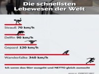 Schneller als der Einkaufswagen!