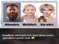 Gendern einfach erkl�rt, mit einem Zwinkern