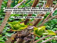 misserfolg ist ein erfolg