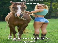 Der unerwartete Star des Fotos!