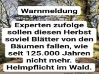 Helmpflicht bei Herbstlaub!