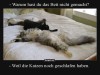 weiter