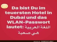 WLAN-Challenge im Luxushotel!
