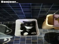 Katzenf�nger: Deluxe Edition