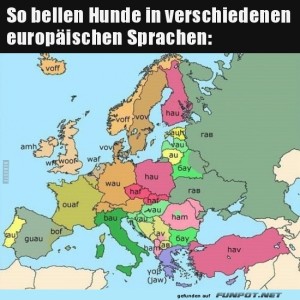 fun-Bild: Hunde bellen