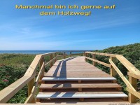 Ein Holzweg, der ins Paradies f�hrt
