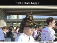 Katzenh�te: Der letzte Schrei in Herbstmode!