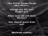 Der fr�he Vogel und der schlaue Wurm