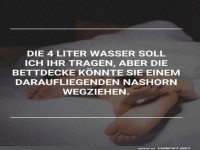 Bettschlachten und Rhino-Kraft!