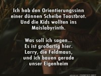 Verloren im Maislabyrinth