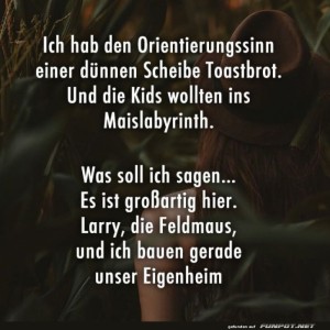 Verloren-im-Maislabyrinth.jpg von Josie-96