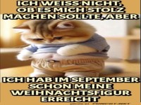Katzen-Mode-Fr�hstart!