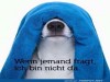 weiter
