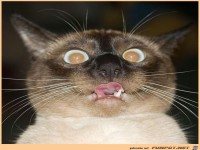 Montag is schon wieder 