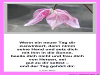 Wenn ein neuer Tag dir zuzwinkert-1