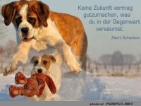 keine zukunft vermag