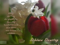 Gl�ckliche stunden