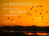 Das wichtigste ist
