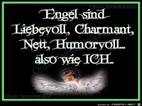 engel-sind-liebevoll-charmant-nett-humorvoll-also-wie-ich