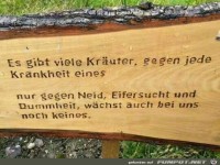 es gibt viele Kraeuter.....