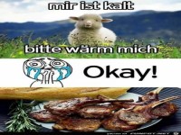 Falsch verstanden
