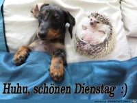 Dienstag