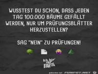 Sag nein zu Prfungen
