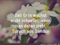 Das Gras wachst nicht schneller