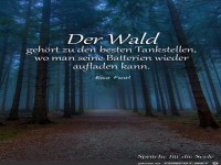 Der Wald