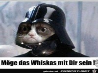 Möge das Whiskas