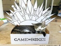 Meine Box