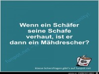 Scherzfrage