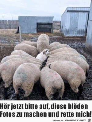 Hör-auf-mit-Bilder-machen.jpg auf www.funpot.net