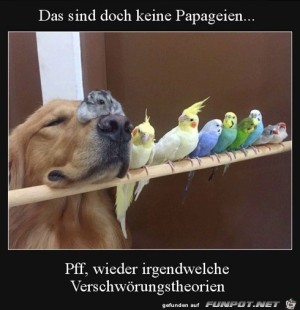 Das-sind-doch-keine-Papageien.jpg auf www.funpot.net