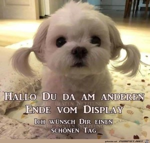 Begrüßungsbild