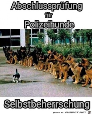 Abschlussprüfung.jpg auf www.funpot.net