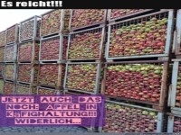�pfel in K�fighaltung