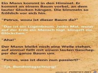 Wozu ist dieser Baum