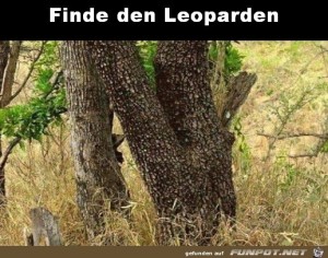 fun-Bild: Rätsel