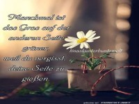 Manchmal ist das Gras auf der anderen Seite grner