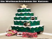 Weihnachtsbaum f�r Katzen