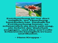 entt�uschung ist nur dort